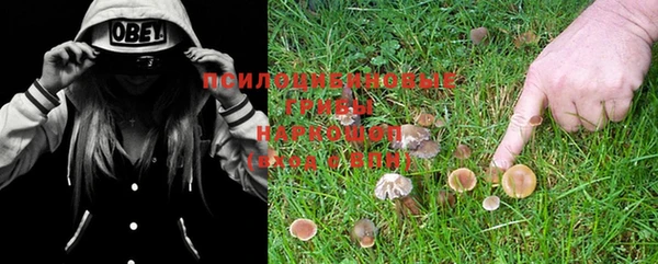 PSILOCYBIN Арсеньев