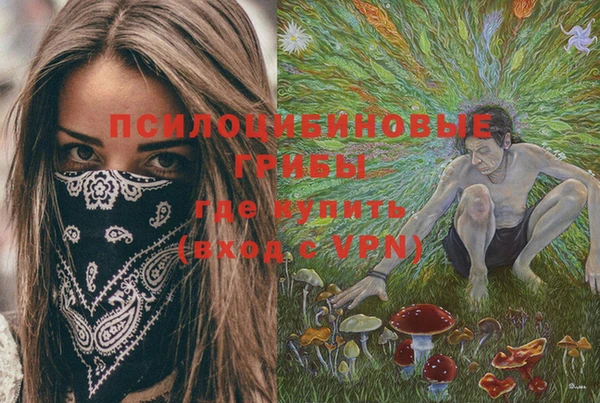 PSILOCYBIN Арсеньев