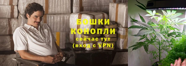 PSILOCYBIN Арсеньев