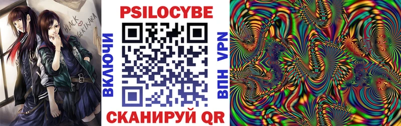 Псилоцибиновые грибы MAGIC MUSHROOMS  где можно купить наркотик  Зима 